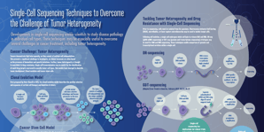 single cell sequencing_thumbnail (1)